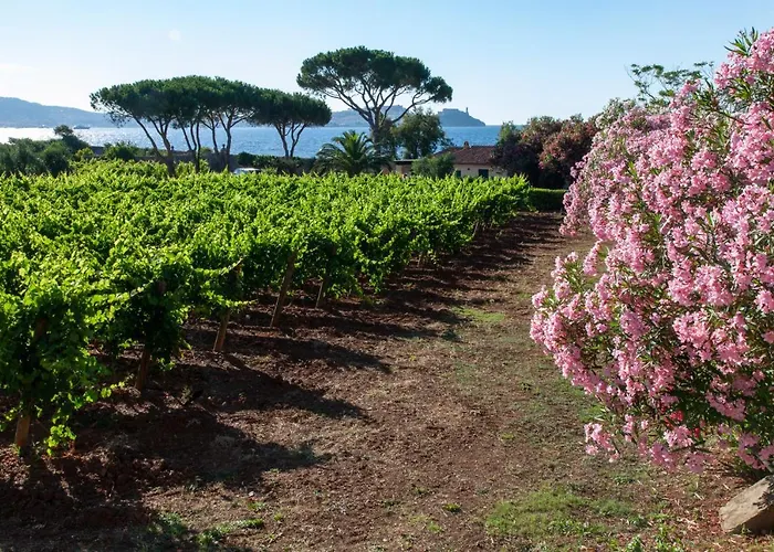 Tenuta La Chiusa 팜스테이 포르토페라이오
