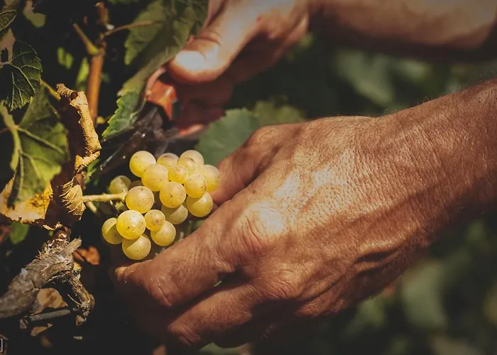 Tenuta La Chiusa 팜스테이 포르토페라이오