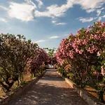 Tenuta La Chiusa *