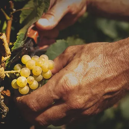 Tenuta La Chiusa Alloggio per agriturismo Portoferraio