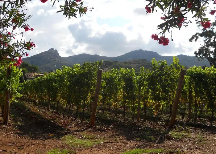 Tenuta La Chiusa Портоферрайо