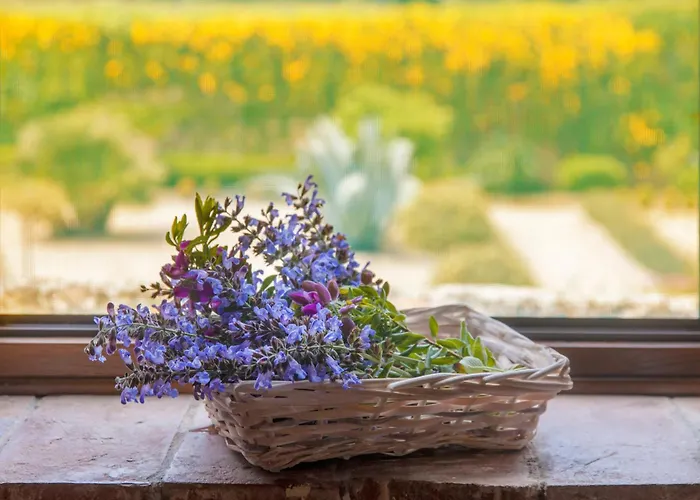 Tenuta La Chiusa Фермерский дом Портоферрайо